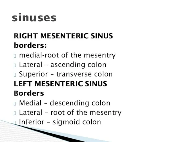 RIGHT MESENTERIC SINUS borders: medial-root of the mesentry Lateral – ascending colon Superior