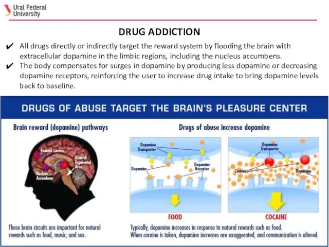 All drugs directly or indirectly target the reward system by