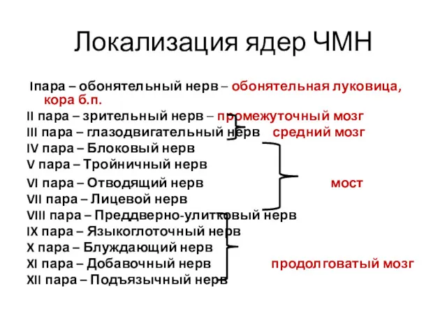 Локализация ядер ЧМН Iпара – обонятельный нерв – обонятельная луковица,