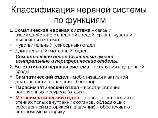 Классификация нервной системы по функциям 1. Соматическая нервная система –