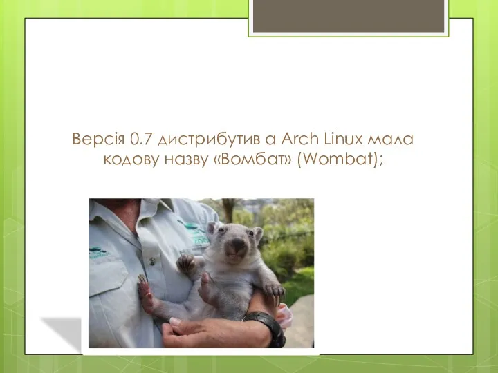 Версія 0.7 дистрибутив а Arch Linux мала кодову назву «Вомбат» (Wombat);