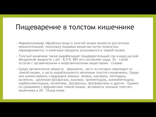 Пищеварение в толстом кишечнике Ферментативная обработка пищи в толстой кишке