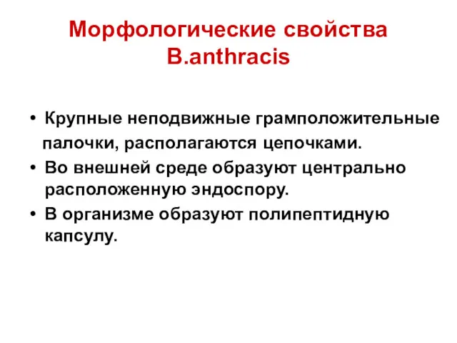 Морфологические свойства B.anthracis Крупные неподвижные грамположительные палочки, располагаются цепочками. Во