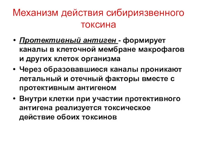 Механизм действия сибириязвенного токсина Протективный антиген - формирует каналы в