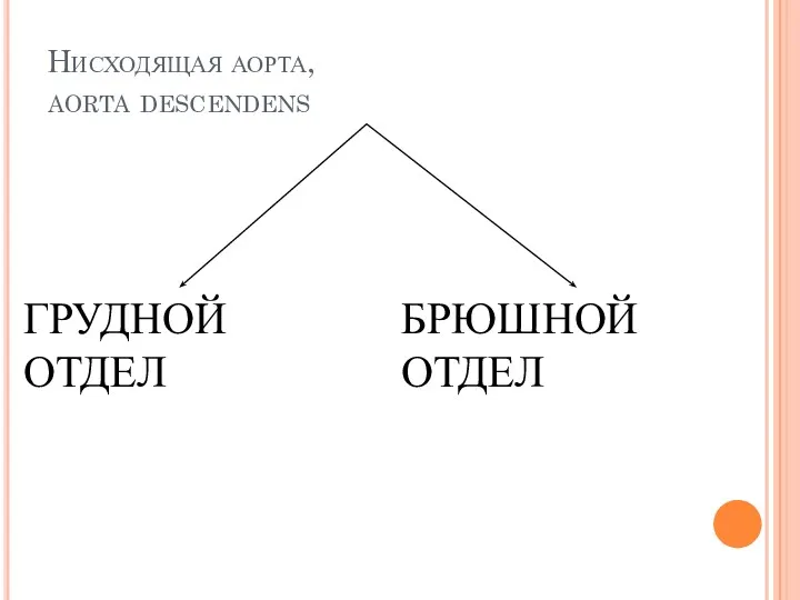 Нисходящая аорта, aorta descendens ГРУДНОЙ ОТДЕЛ БРЮШНОЙ ОТДЕЛ