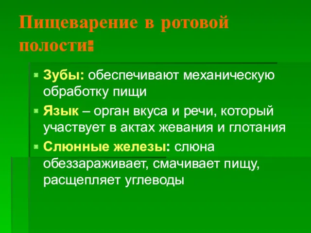 Пищеварение в ротовой полости: Зубы: обеспечивают механическую обработку пищи Язык