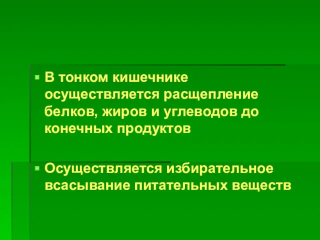 В тонком кишечнике осуществляется расщепление белков, жиров и углеводов до