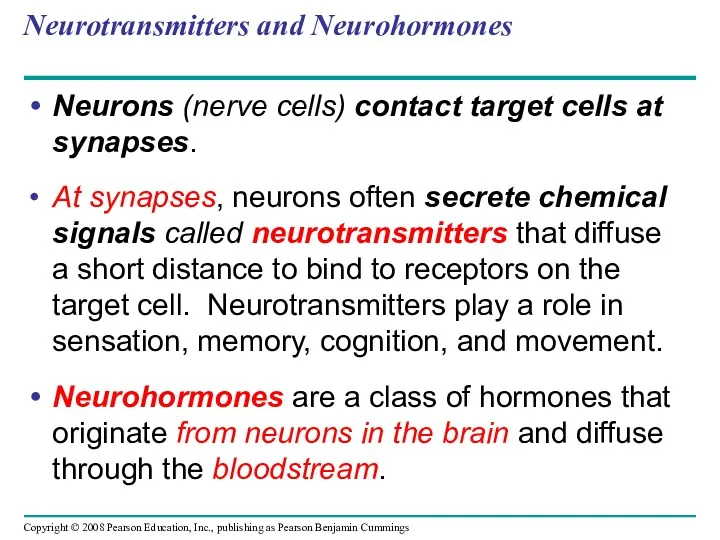 Neurotransmitters and Neurohormones Neurons (nerve cells) contact target cells at synapses. At synapses,