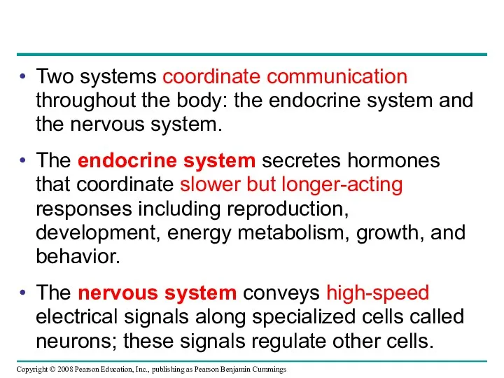 Two systems coordinate communication throughout the body: the endocrine system and the nervous