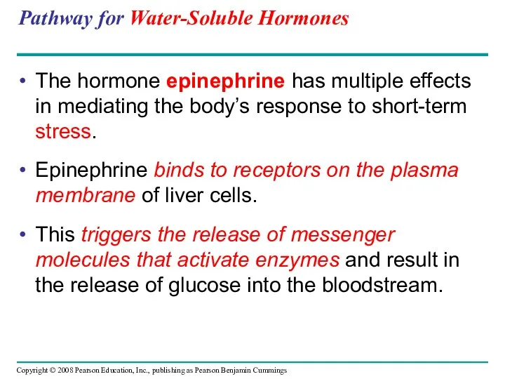 Pathway for Water-Soluble Hormones The hormone epinephrine has multiple effects