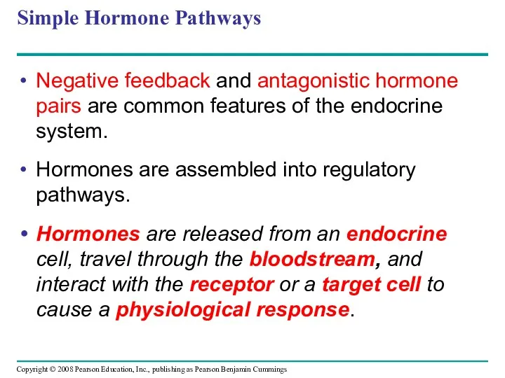 Simple Hormone Pathways Negative feedback and antagonistic hormone pairs are common features of