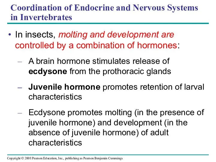 Coordination of Endocrine and Nervous Systems in Invertebrates In insects, molting and development