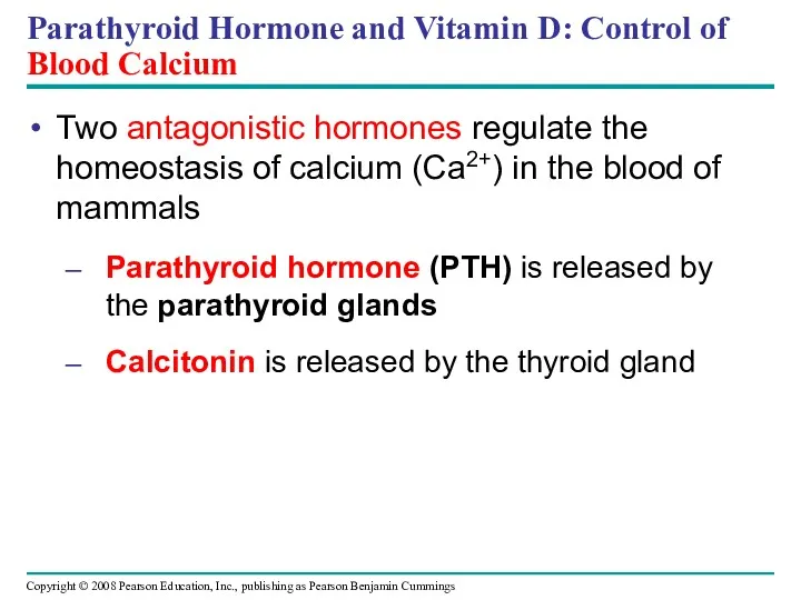 Parathyroid Hormone and Vitamin D: Control of Blood Calcium Two antagonistic hormones regulate