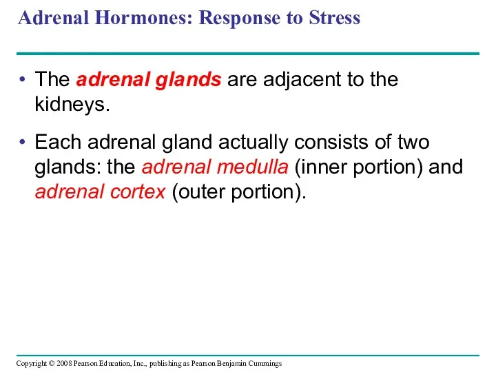 Adrenal Hormones: Response to Stress The adrenal glands are adjacent