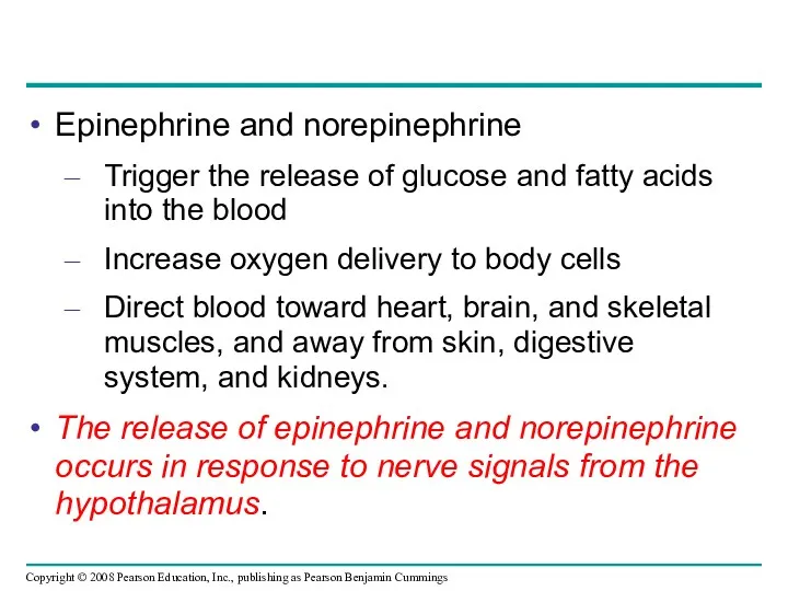 Epinephrine and norepinephrine Trigger the release of glucose and fatty acids into the