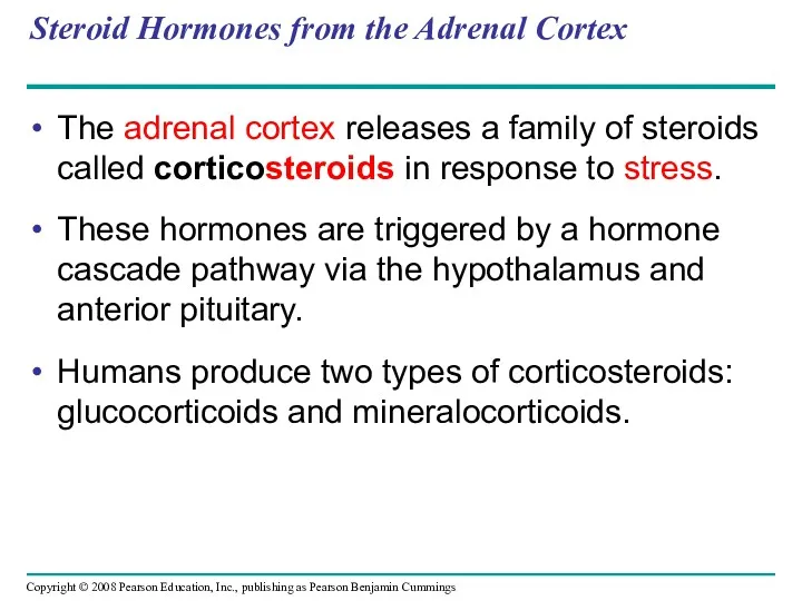 Steroid Hormones from the Adrenal Cortex The adrenal cortex releases