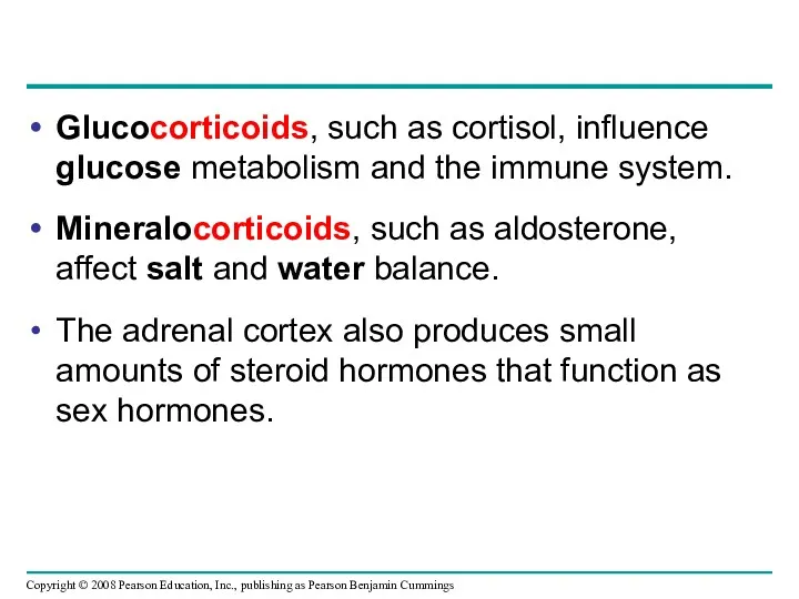 Glucocorticoids, such as cortisol, influence glucose metabolism and the immune system. Mineralocorticoids, such