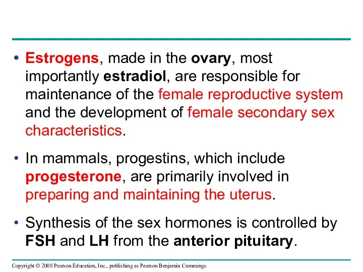 Estrogens, made in the ovary, most importantly estradiol, are responsible