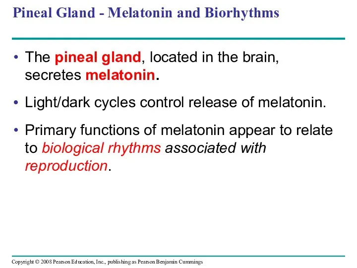 Pineal Gland - Melatonin and Biorhythms The pineal gland, located in the brain,