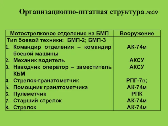 Организационно-штатная структура мсо