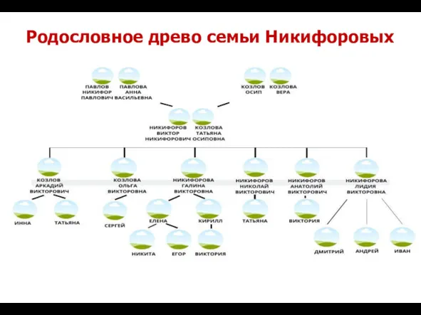 Родословное древо семьи Никифоровых