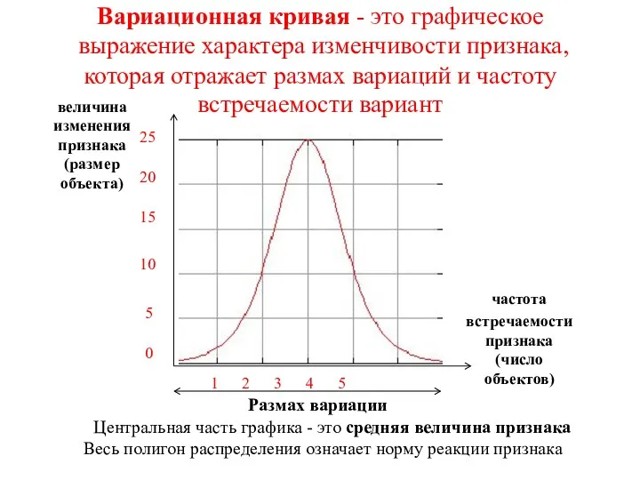 Вариационная кривая - это графическое выражение характера изменчивости признака, которая