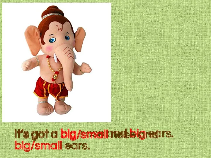 It’s got a big nose and big ears. It’s got a big/small nose and big/small ears.