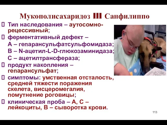 Мукополисахаридоз III Санфилиппо Тип наследования – аутосомно-рецессивный; ферментативный дефект – А – гепарансульфатсульфомидаза;