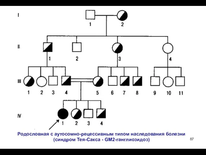 Родословная с аутосомно-рецессивным типом наследования болезни (синдром Тея-Сакса - GМ2-ганглиозидоз)