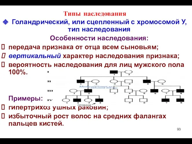 Типы наследования Голандрический, или сцепленный с хромосомой У, тип наследования Особенности наследования: передача