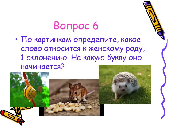 Вопрос 6 По картинкам определите, какое слово относится к женскому