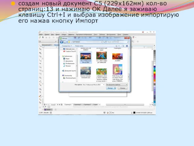 создам новый документ С5 (229х162мм) кол-во страниц:13 и нажимаю ОК