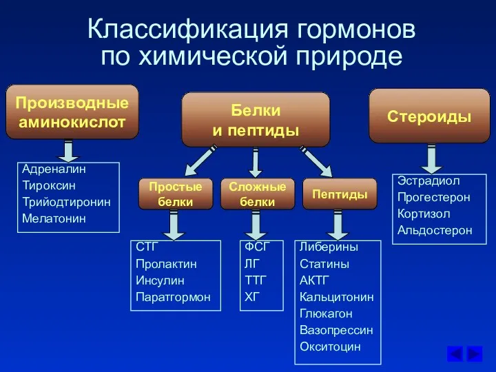 Классификация гормонов по химической природе Производные аминокислот Белки и пептиды