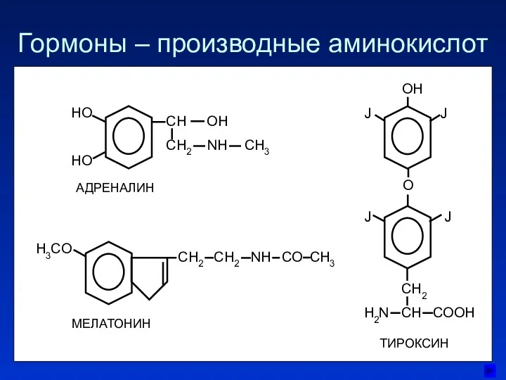 Гормоны – производные аминокислот АДРЕНАЛИН МЕЛАТОНИН ТИРОКСИН