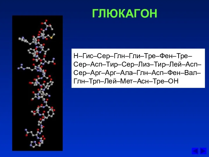 ГЛЮКАГОН Н–Гис–Сер–Глн–Гли–Тре–Фен–Тре–Сер–Асп–Тир–Сер–Лиз–Тир–Лей–Асп–Сер–Aрг–Aрг–Ала–Глн–Асп–Фен–Вал–Глн–Трп–Лей–Мет–Асн–Тре–ОН