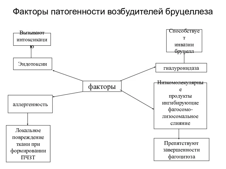 Факторы патогенности возбудителей бруцеллеза Вызывают интоксикацию Эндотоксин аллергенность Локальное повреждение