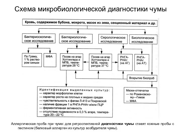 Схема микробиологической диагностики чумы Аллергическая проба при чуме: для ретроспективной