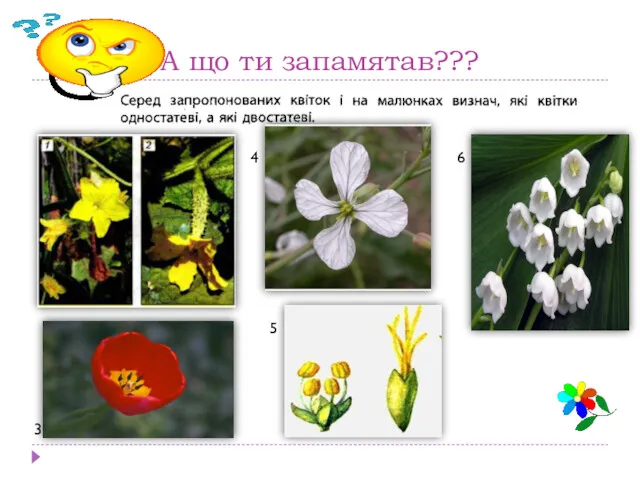 А що ти запамятав??? 3 4 5 6