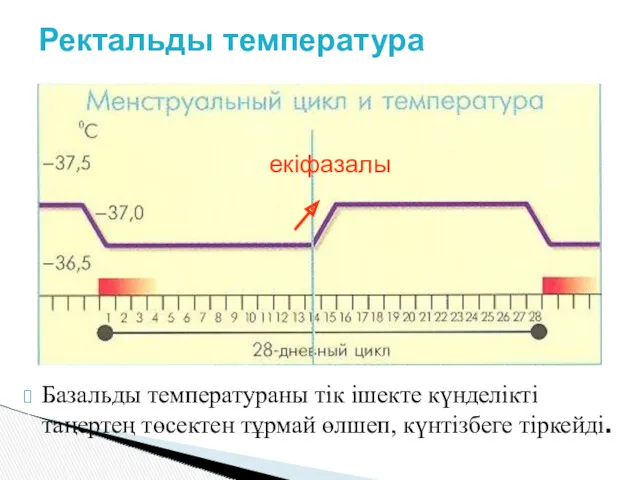 Базальды температураны тік ішекте күнделікті таңертең төсектен тұрмай өлшеп, күнтізбеге тіркейді. Ректальды температура екіфазалы