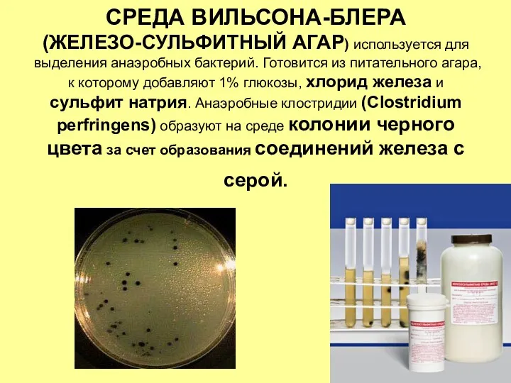 СРЕДА ВИЛЬСОНА-БЛЕРА (ЖЕЛЕЗО-СУЛЬФИТНЫЙ АГАР) используется для выделения анаэробных бактерий. Готовится