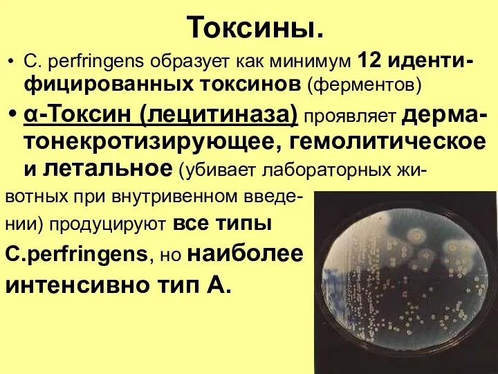 Токсины. C. perfringens образует как минимум 12 иденти-фицированных токсинов (ферментов)