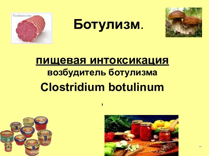 Ботулизм. пищевая интоксикация возбудитель ботулизма Clostridium botulinum ,