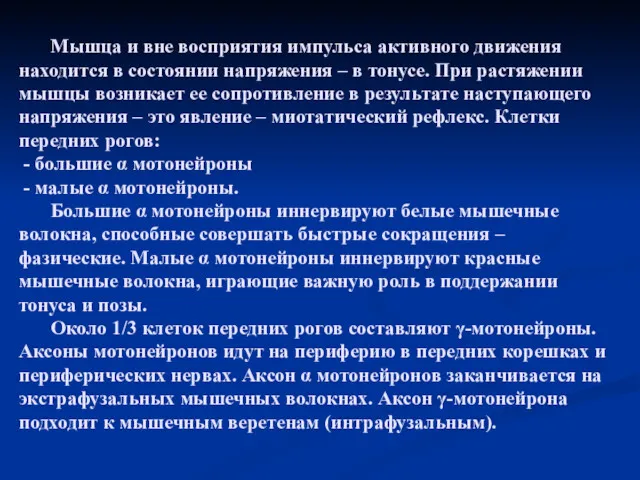 Мышца и вне восприятия импульса активного движения находится в состоянии