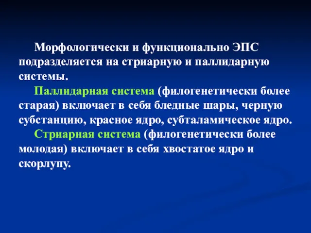 Морфологически и функционально ЭПС подразделяется на стриарную и паллидарную системы.