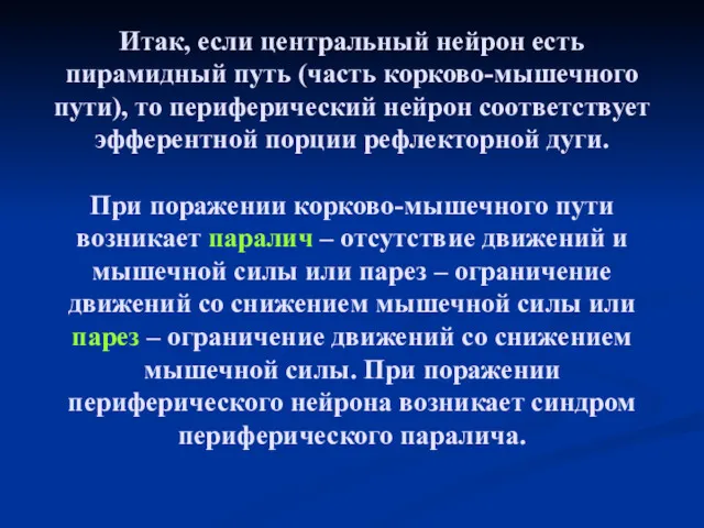 Итак, если центральный нейрон есть пирамидный путь (часть корково-мышечного пути),