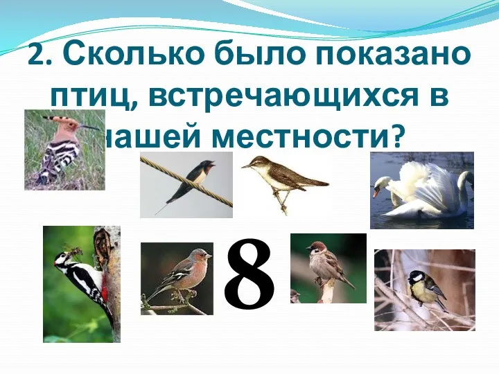 2. Сколько было показано птиц, встречающихся в нашей местности? 8