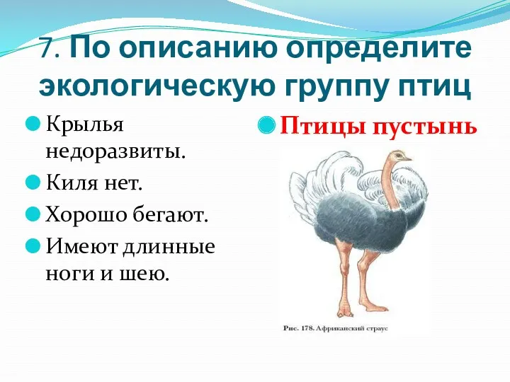 7. По описанию определите экологическую группу птиц Крылья недоразвиты. Киля