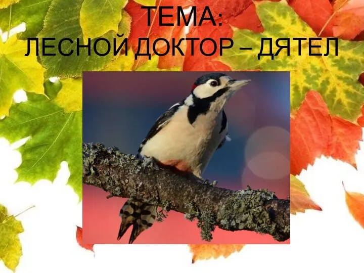 ТЕМА: ЛЕСНОЙ ДОКТОР – ДЯТЕЛ