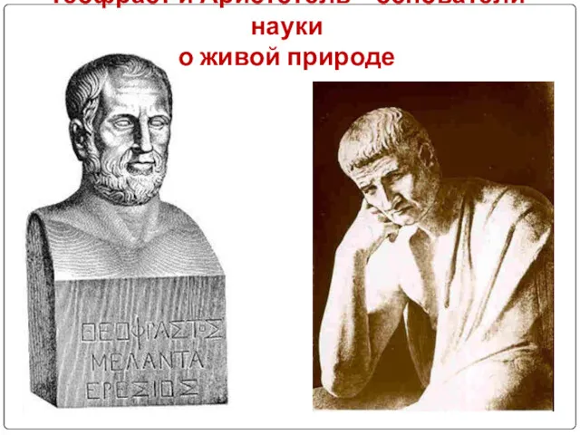 Теофраст и Аристотель – основатели науки о живой природе