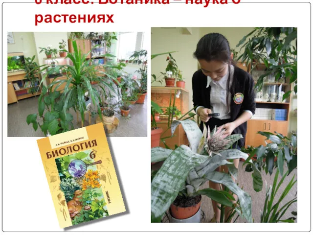 6 класс: Ботаника – наука о растениях